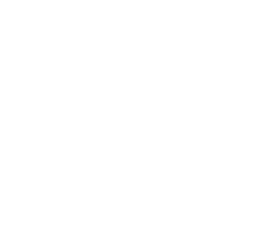 Angola 50 Anos Logo